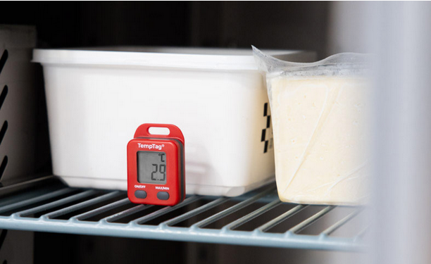 TempTag Micro Min/Max Thermometer