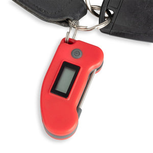 Mini-Thermometer mit Einstechfühler