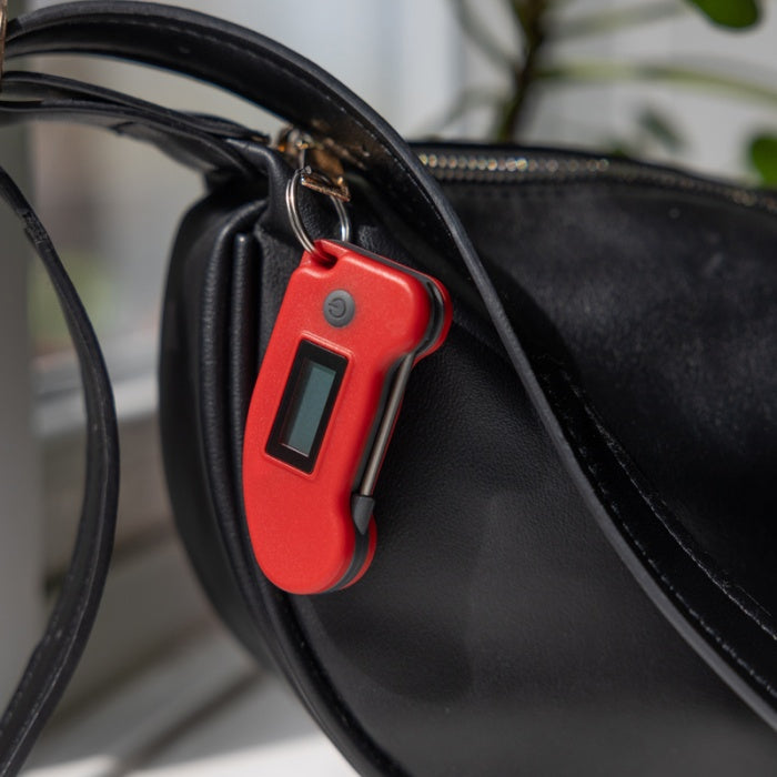 Mini-Thermometer mit Einstechfühler