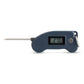 Mini-Thermometer mit Einstechfühler